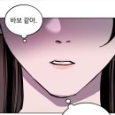 고양이천국 이미지