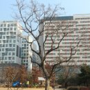 이마트공인중개사사무소 이미지