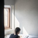 스테이 선명 이미지