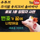 안지행운복권 | 로또1등 당첨자 후기 (돼지 꿈 해몽)