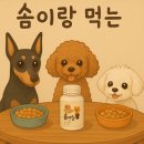 솜이랑 | 도기마마 멍멍리뷰 ) 효소원 솜이랑 - 반려견 건강보조식품(강아지 효소, 유산균, 식이섬유)