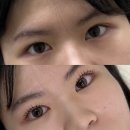 채온 - 남구 | [부산/남구] 경성대 속눈썹펌 퓨어 클리닉 속눈썹펌 ‘채온’ 애견동반 후기