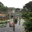 표선청년회의소 이미지