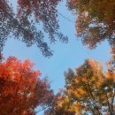 남지문화의집 | 스타벅스 겨울 신메뉴 월리 체리 푸딩 크림 프라프치노 솔직 후기 &amp; 달동문화공원 단풍 명소:)