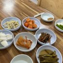 영암흑염소 이미지