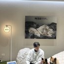 테디