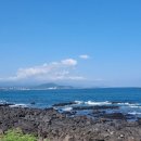 사계올레 이미지