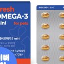 농심종합설비 | 강아지 고양이 피부 영양제 추천, 농심 반려다움 프레쉬오메가3 미니 급여 후기