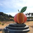 효돈농업협동조합 | 제주실내여행 서귀포감귤박물관 할인정보