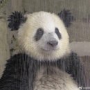 선아 농장 | 5月