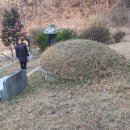 일등농약종묘도매상사 Daum카페