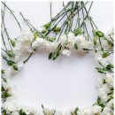 에이블 행정사 사무소 이미지