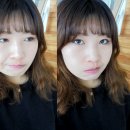 월드DSC 이미지