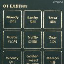 [홀리카홀리카] 내돈내산 홀리데이 에디션 테라조 팔레트 전호수 발색