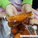 광선농장 이미지