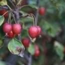 산너울가든 이미지