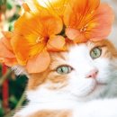 나만의 포트레이트 이미지