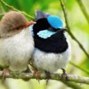 숲속의 하루 이미지