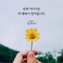 진심이 통하는 청주청소년상담, 행복나무심리상담코칭센터와 함께 성장하는 이야기