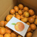 효창농장 이미지