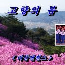 고향의봄 이미지