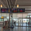 5238 | 대한항공 부산/김해(PUS) ~ 나고야(NGO) KE2133/JL5238 탑승후기