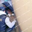 터진목로 이미지