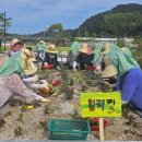 철마공원 이미지