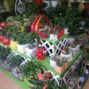 성덕초등학교 부근 이미지