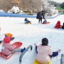 무봉산청소년수련원 눈썰매장 평택시민신문
