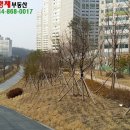 아름동_범지기308동 이미지