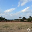 블루하와이 이미지