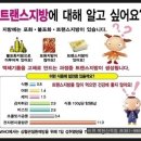 우리트랜스 이미지
