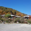 살구나무글램핑&펜션 이미지