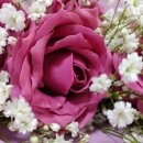 수정부동산 이미지