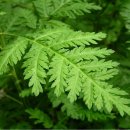 은생당한의원 이미지