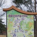 Sun system | 경주 진흥왕 묘 ('25.12.21)