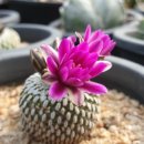 산정농장 이미지