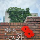 눈물지니 웃음피고 | 대봉동 능소화폭포 배신 겨땀눈물로 피신한 카페