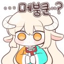 배*해