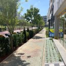 중앙로길 이미지