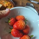 동읍1000 이미지