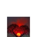 정*천 - 안양시 만안구 병목안로110번길 | 정*천