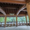 계림정야영장 이미지