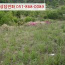 구산면557 이미지