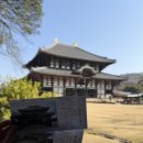 나라꽃 미니정원 | 오사카 DAY3 나라 고베 당일치기 버스투어, 라쿠투어 내돈내산 후기