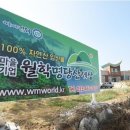 월학명당산세상협동조합 네이버블로그