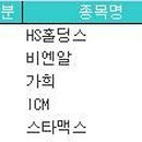 에이치에스홀딩스