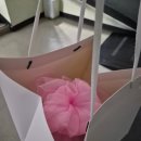 둘째 백일떡 준비, 중랑구 백일떡 픽업 내돈내산 후기