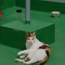 (주)오렌지씨